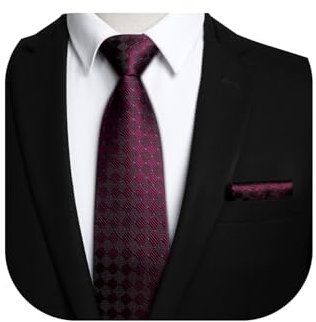 HISDERN Krawatten Herren Rotwein Formelle Klassische Krawatte mit Einstecktuch Hochzeit Karierte Herrenkrawatte und Taschentuch Set für Männer