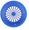 Zoegneer 5 platos coloridos de plástico para barbacoa, platos de fiesta, huecos, platos planos pequeños, platos de verduras, olla caliente, restaurante, plato especial de comedor (azul)
