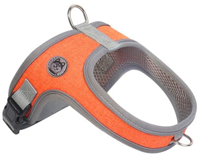 Dog Harness and Leash Set, No Pull Saddle Style Pet Harness, Breathable Mesh Adjustable Reflective Dog Vest for Dogs and Cat Medium Small Harness 2 D-Rings, Orange, XL