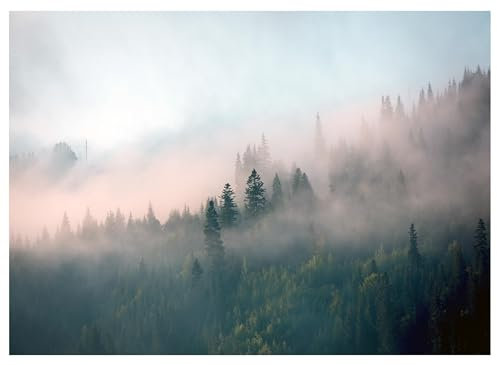 WallArena - Vlies Fototapete Wald Nebel Landschaft 200x140 cm - Fototapeten - Tapeten - für Wohnzimmer Schlafzimmer - Vliestapete Wandtapete Tapete 3D Effekt- inkl. Kleister - Berge Gebirge