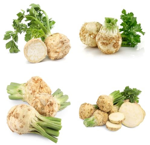 knollensellerie samen bio saatgut wintergemüse, pflanzen anzucht staudensellerie samen wintergemüse pflanzen kaufen pflanzensamen, gemüsesamen alte sorten gemüsepflanzen, hochbeet 125pcs