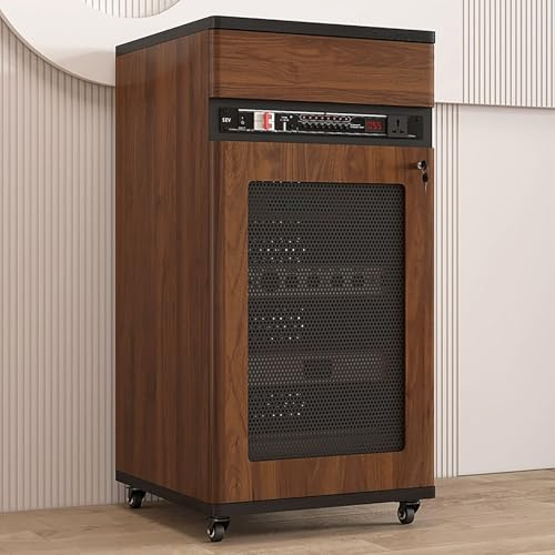HOLGVE Audio Rack HiFi Regal, Stereo-Schrank mit Schublade Und Abschließbarer Tür, Fahrbarer Video-Medienschrank mit Kabeldurchführung Und Verstellbaren Einlegeböden, TV-Möbel(Brown,52x55x108CM)