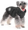 Aywoja Warme Hundemantel Winter Mit Geschirr für Kleine Hunde, Wasserdicht, Maschinenwaschbar, Reflektierender Streifen, Haltbarer D-Ring