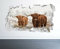 Highland Kuh Wandtattoo 3D-Optik - Schlafzimmer Natur Bauernhof Wandtattoo -50x70 cm