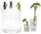 RUDFUZ 3Pcs Cute Plant Support Plant Propagation Buddy For A Plant Propagation Station Sprouts Stems Shoots Cuttings
