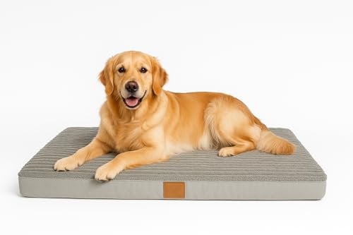 Odolplusz Orthopädisches Hundebett, groß, 100x70x7 cm, Hundekissen flauschig Hundematte waschbar (100x70x7cm)