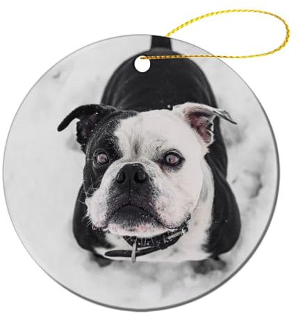 Christbaumschmuck, Bulldogge Hund Haustier Weihnachts Ornamente Mit Seil Ornamente Für Weihnachtsbaum Weihnachtsdekoration Für Deko Weihnachtsbäume