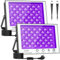 wowspeed LED Schwarzlicht Strahler 100W 2 PACK, Schwarzlicht Led mit Stecker, IP66 Wasserdicht UV Strahler mit Schalter, 395-400nm Schwarzlichtlampe für Bar, Disco, Party, Halloween, Bühnen