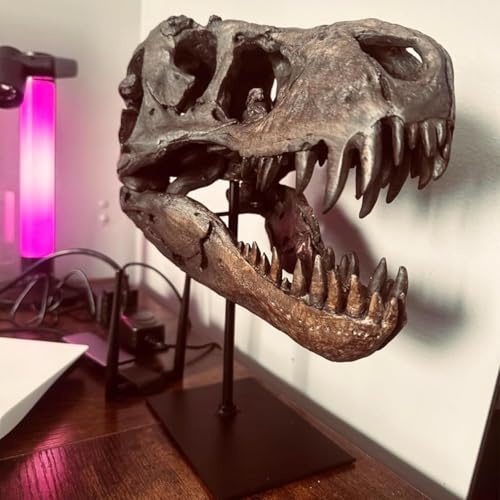 PANYIXUAN Dinosaurier SchäDel Modell, T Rex Figur Resin Totenkopf Skulpturen mit Halterung füR Home Office Decor Regal Display