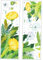 SEWOART Wandaufkleber-set Mit Blumenmotiv 2er-pack Pusteblumen-wandaufkleber Einfach Abziehen Und Ankleben Entfernbare Wanddekoration Selbstklebende Wandkunst Für Das Wohnzimmer