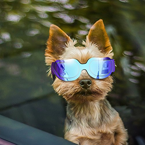 PETLESO Hundesonnenbrille Hundebrille Sonnenbrillen für Hunde UV-Schutz wasserdichte Sonnenbrillen für kleine mittlere Hund oder Katze Blau