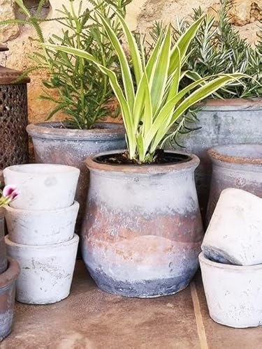 Vintage Herb Pot, Large Plant Pot, Terracotta Succulent Planter, Rustic Flower Garden Pot, Aged Grey Stone Weathered Cactus Bulb Pot