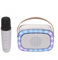 Denver Karaoke BT-Lautsprecher BTM-610