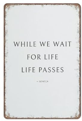 KOPUTE Stoisches Zitat, Stoic Reflection, While We Wait For Life Pass, Stoik-Poster, Stoik-Kunst, Philosophie-Geschenk, Retro-Metallposter, Wandkunst, Küche, Garten, Bauernhof, Heimdekoration, 30 x 40