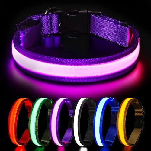 HEELE Hundehalsband Leuchtend, Leuchtend Halsband, Leuchthalsband Type-C Wiederaufladbar, Leuchthalsband Hund Wasserdicht, LED Halsband für Hunde, Hundehalsband mit 3 Beleuchtungsmodi, Lila, L