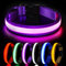 HEELE Hundehalsband Leuchtend, Leuchtend Halsband, Leuchthalsband Type-C Wiederaufladbar, Leuchthalsband Hund Wasserdicht, LED Halsband für Hunde, Hundehalsband mit 3 Beleuchtungsmodi, Lila, L