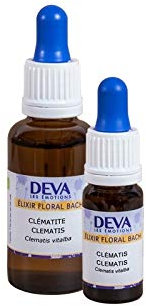 Bach Floral Elixir – Clematis 10ml Dropper