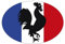 Artimagen Aufkleber Flagge Oval Hahn Frankreich 80 x 60 mm.