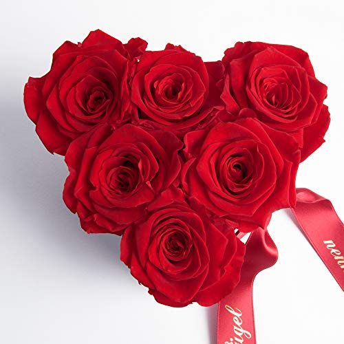 ROSEMARIE SCHULZ Heidelberg Mütter Engel ohne Flügel nennt Man Mama 6 Infinity Rosen Box Herz (Rot, 6 Rosen Engel)
