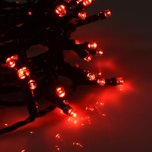 Partenopea serie stringa catena luminosa di luci 100 LED per albero di Natale da Esterno natalizie ed Interno controller con 8 giochi di luce e Memoria cavo verde (Rosso, 5 metri)