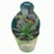 Pianta di Agave Victoriae-reginae i in vaso di diametro 14 cm, pianta vera da esterno.