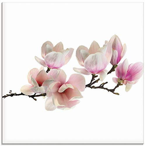 ARTland Wanddeko Glasbilder Wandbild Glas Bild einteilig Quadratisch Natur Asien Botanik Blumen Blüten Magnolie Rosa S6DR