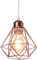 TOKIUS Plafonnier Industriel Vintage Luminaire E27 Rétro Lustre Suspension Design Métal Cage Ø160mm éclairage plafond Pour Salon Cuisine Chambre (Or rose-SS-1)
