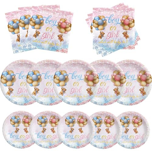 Bear Gender Reveal Decoration- Bear Gender Reveal Tableware Pink Blue Teddy Bear Plates and Napkins Supplies Bear Boy or Girl Plates and Napkins for Baby Shower Decoration Serve 20 Guests