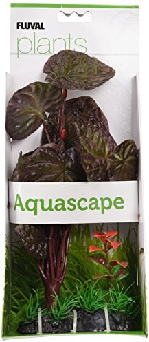 Fluval Red Lotus Plant 4 x 5 x 12