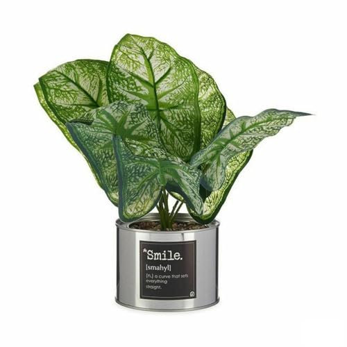 Ibergarden Dekorative Pflanze Caladium, Metall, Kunststoff, 26 x 26 x 26 cm (6 Stück)
