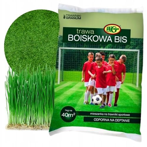 STYLIZER Sport Rasensamen Schnellkeimend Frühjahr 1 kg - Grassamen Sport und Spielrasen für bis zu 40 m² - Turbo Rasensaat Trockenresistent und Winterhart - Schnellwachsender und Robust Rasen Samen