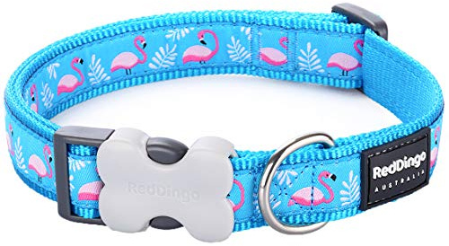 Red Dingo Bucklebone Dog Collar Design, Flamingo Turquoise, Medium 20mm