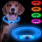 Sofore Light Up Dog Collar, LED Dog Collar Light for the Dark, USB Rechargeable 3 Flash Modes Light Dog Collar Adjustable Cut to Size for Puppy Small Medium and Large Dogs, Blue