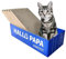 Heikoeco® 5er-Set Kratzbrett für Katzen, Kratzpappe aus hochwertigem Karton,Doppelseitige Kratzpappe für Katzen Kratzbrett Katze zur Krallenpflege Katzenkratzbox 44×20×12 cm (Blau)