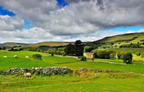 GUOHLOZ Jigsaws 1000 pieces for adults - 1000 piece jigsaw puzzles for adults is ideal as a gift for the whole family the jigsaw puzzle, Yorkshire Dales, Landscapes, 75x50cm