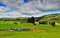 GUOHLOZ Jigsaws 1000 pieces for adults - 1000 piece jigsaw puzzles for adults is ideal as a gift for the whole family the jigsaw puzzle, Yorkshire Dales, Landscapes, 75x50cm