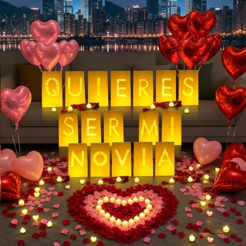 Quieres Ser Mi Novia - Letrero con letras iluminadas, 17 bolsas de papel luminosas, 2200 pétalos de rosa artificiales rojos y rosas, 48 velas LED sin llama, 15 globos de corazón, noche romántica, día