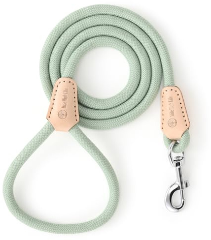 Mile High Life Genuine Leather Wrapped Handle Dog Leash, w Heavy Duty Clasp Rope Leash for Small Medium Large Dogs (Green, 6FT)