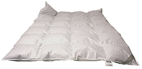 Betten Hofmann Classic Kassetten Daunendecke Daunenbett 4x6, 155x200 cm 1170 g Daunen, warme Ganzjahresdecke, Naturprodukt