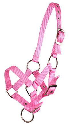 QHP Fohlenhalfter Halfter Fohlen Nylonhalfter 4 Fohlengrößen 6 Farben (Fallabella Fohlen, rosa)