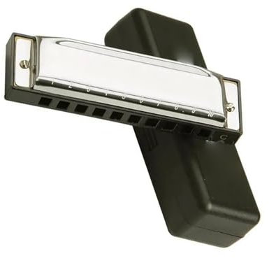 10 Löcher 20 Ton C Key Mundharmonika Diatonische Harfe Jazz Rock Folk Mundharmonika Musikinstrument Inklusive Box mundharmonika anfänger