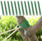 HEBEOT Lot de 12 piquets de Souche d'arbre de Kit de support pour arbre, sangles en nylon pour piquetage, attaches de redressement pour arbres nouvellement plantés, 40 x 3,8 cm