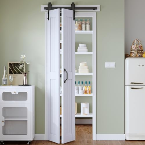 Fionsen Porte de grange à deux volets 76,2 x 213,4 cm (double 38,1 cm), portes de placard coulissantes à deux volets avec kit de rails inclus, rail de 0,9 m pour 2 portes, panneau en bois MDF, surface