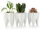 T4U Sukkulenten Topf Keramik Zahn-Form Weiß 3er-Set Mini-Pflanzgefäß für Kakteen Blumentopf für Garten Büro Schreibtisch Dekoration Stiftehalter kreatives Geschenk zum Geburtstag Hochzeit Weihnachten