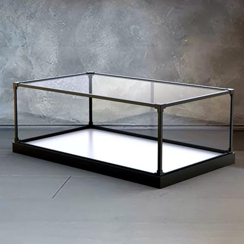 WhamtL Acryl Vitrine Langes Staubsicheres Schaufenster, Löschen von Acrylplastik -Lagerboxen, Quadratische Würfel -Schachteln, Große Transparente Acryl -Vitrine -Hülle(20x15x15cm(8x6x6in))