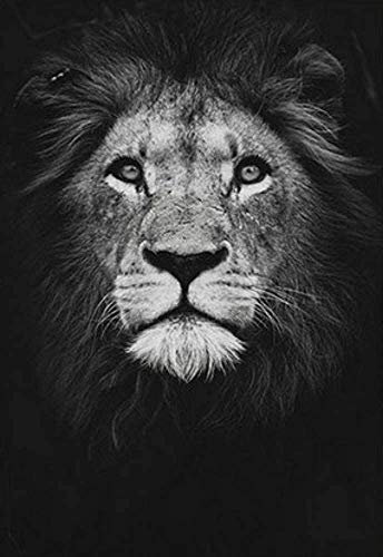 NBHHDH Impression sur Toile Nordique Toile Art Peinture Noir Blanc Lion Imprimé Animal Mur Art Affiche Affiche Salon Décor À La Maison Peinture, 60 × 80 Cm sans Cadre