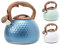 Bouilloire à sifflet en acier inoxydable pour cuisinière à gaz, cuisinière électrique et plaque vitrocéramique Capacité 2,8 l (bleu)