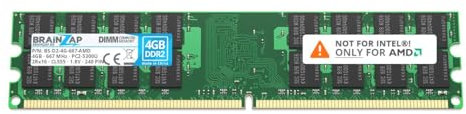 BRAINZAP 4GB DDR2 RAM DIMM PC2-5300U 2Rx16 667 MHz 1.8V CL5 AMD - Memoria RAM para PC
