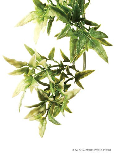 Exo Terra Plastic Croton Plant Medium