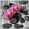 ARTland Wanddeko Glasbilder Wandbild Glas Bild einteilig Quadratisch Asien Zen Wellness Spa Entspannung Blumen Blüten Orchideen Steine S7EH